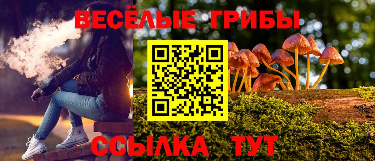 Псилоцибиновые грибы GOLDEN TEACHER Аксай