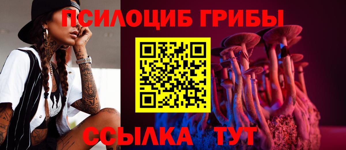 Галлюциногенные грибы прущие грибы  Вход с VPN  Аксай 